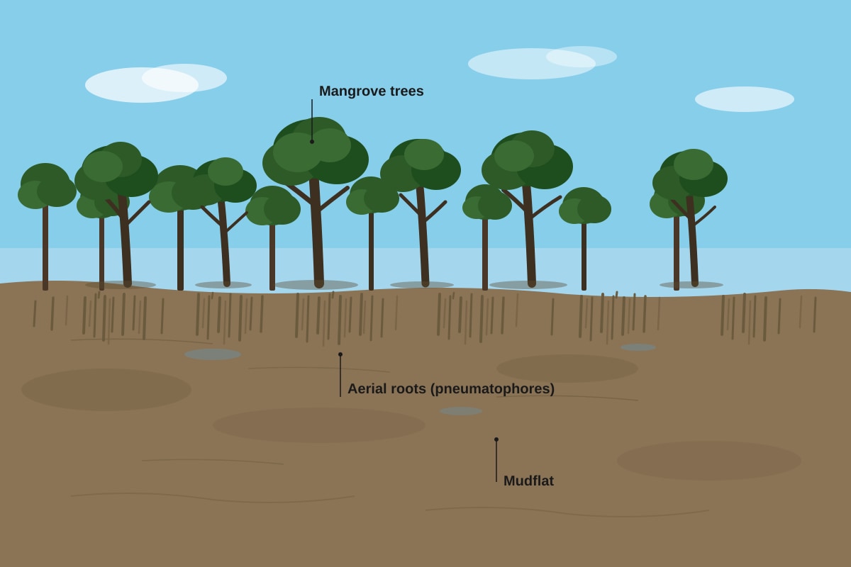 Source Image for Q10 (SEC2 Geography)