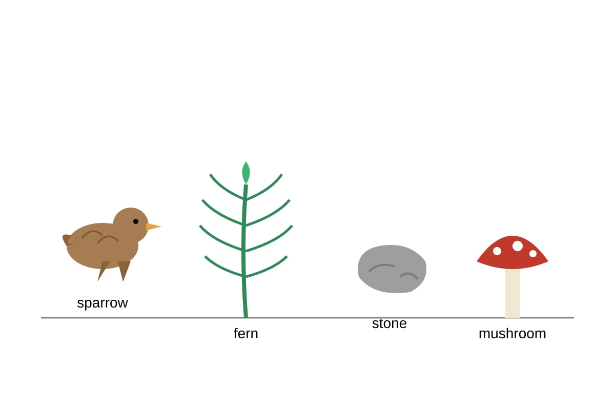 Diagram for 17 (P5 Science)