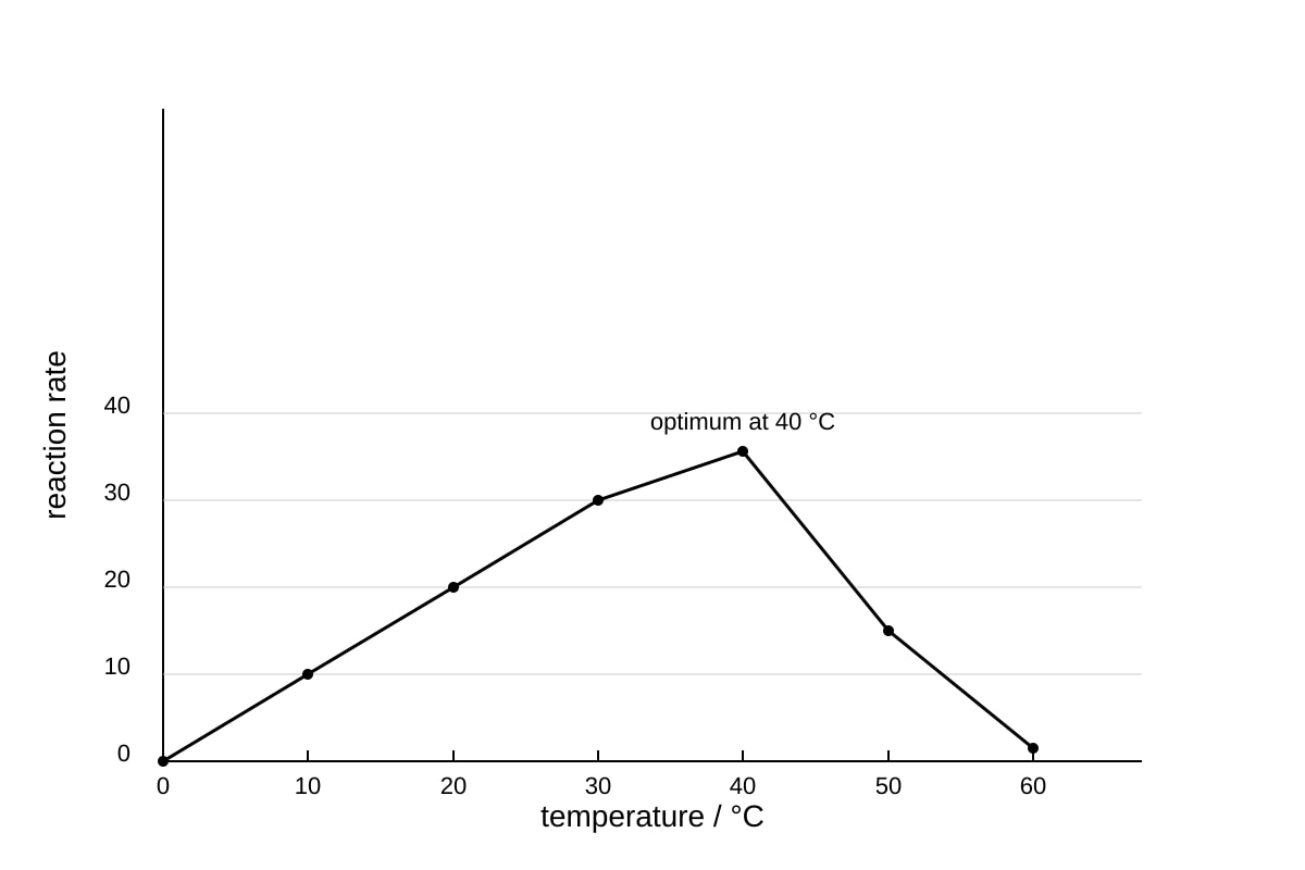 Graph for Q14 (OLEVEL Biology)