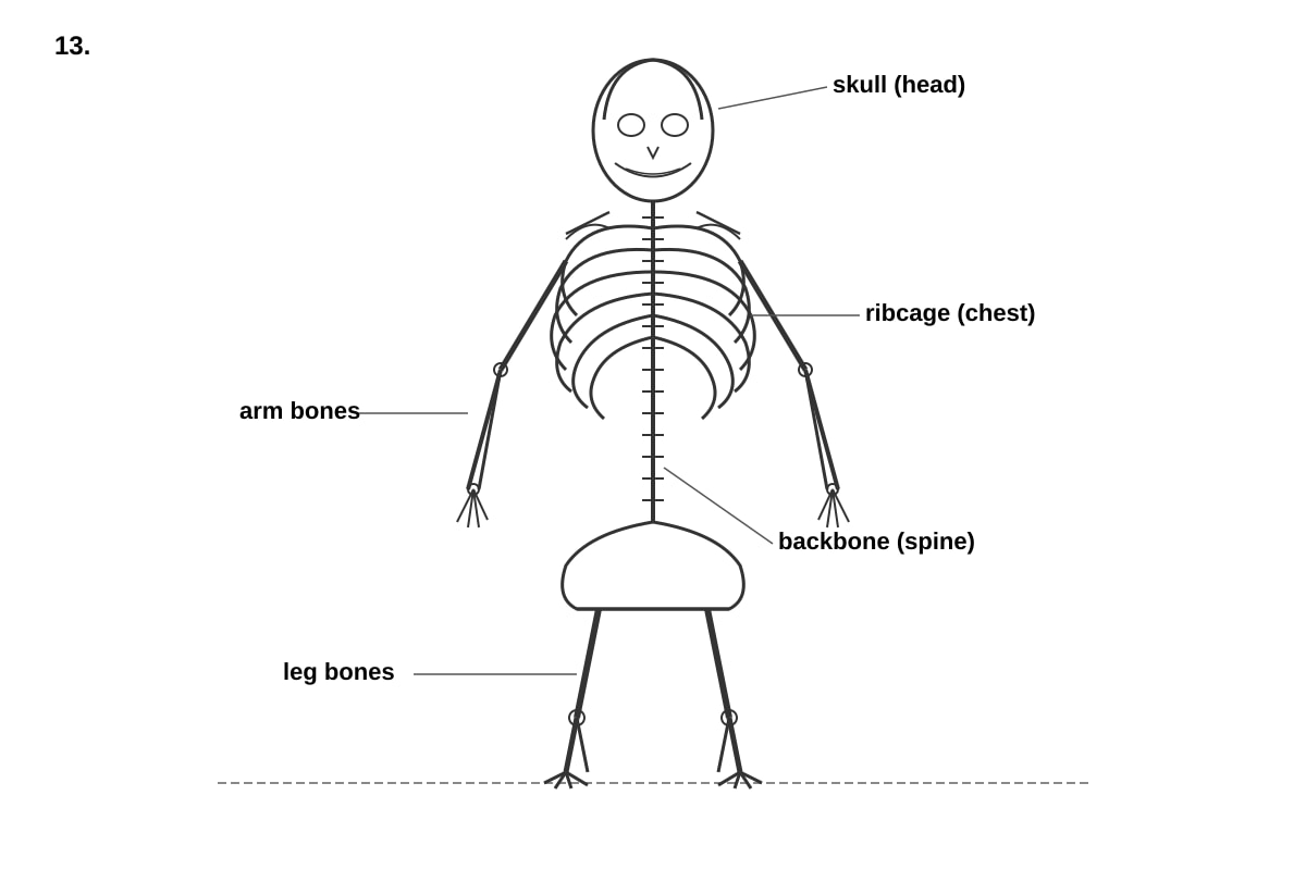 Diagram for Q13 (P3 Science)