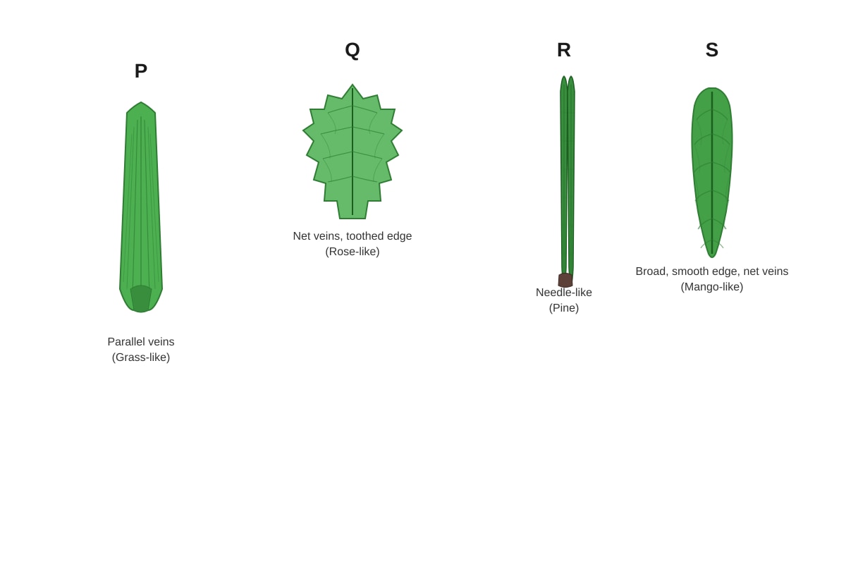 Diagram for Q7 (P5 Science)