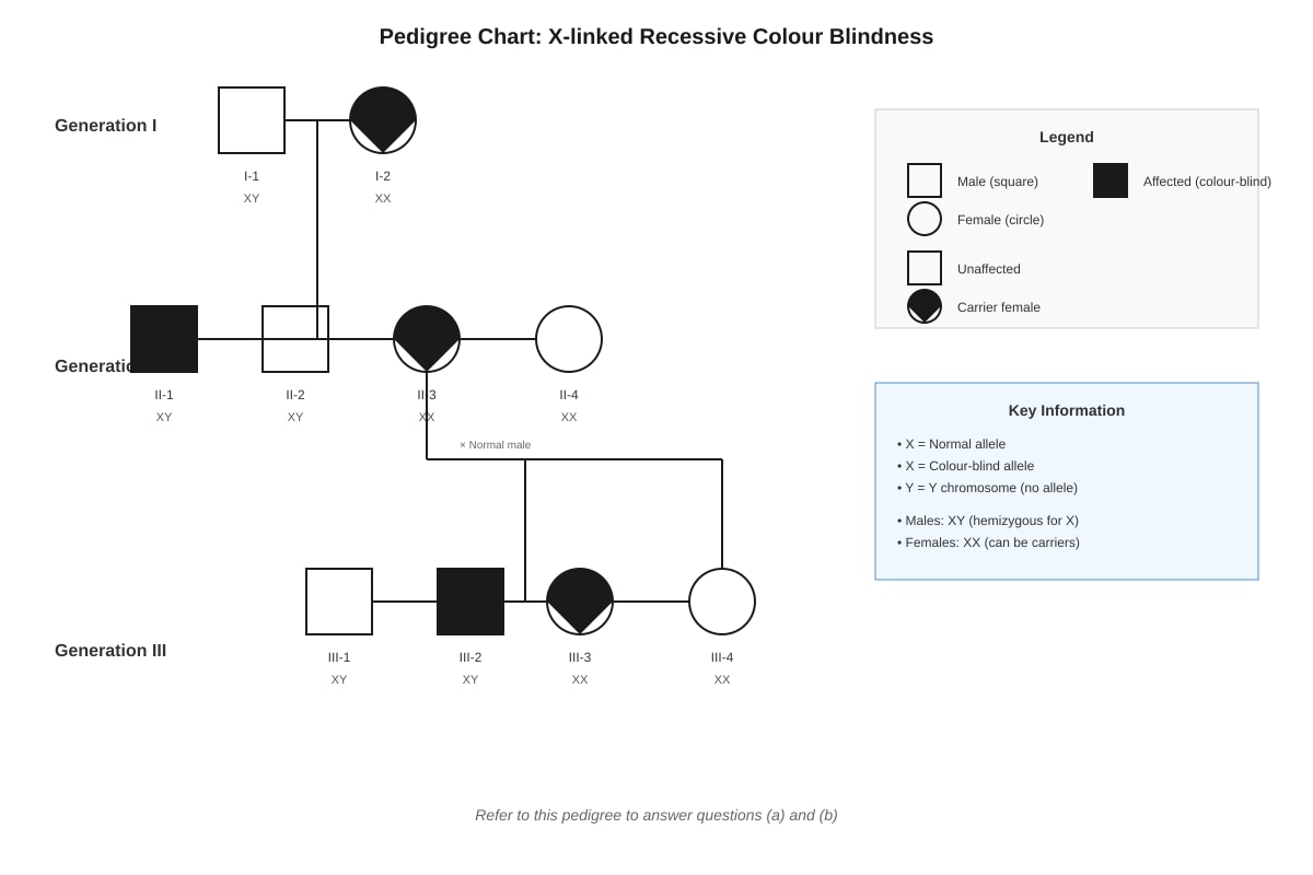 Diagram for Q20 (SEC3 Biology)