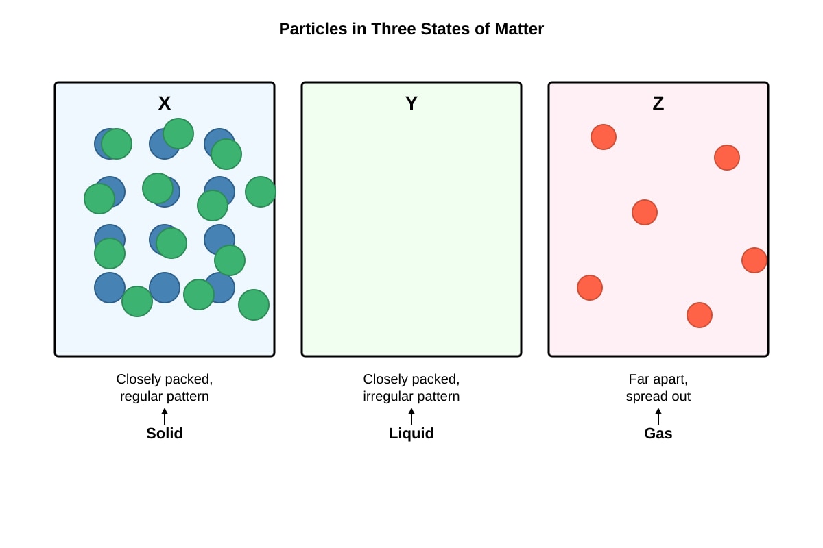 Diagram for Q3 (P4 Science)