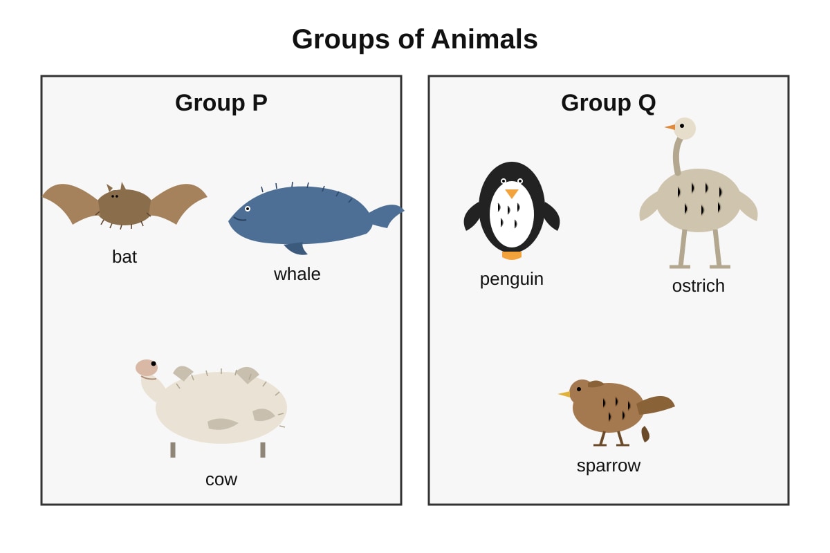 Chart for Q11 (P5 Science)