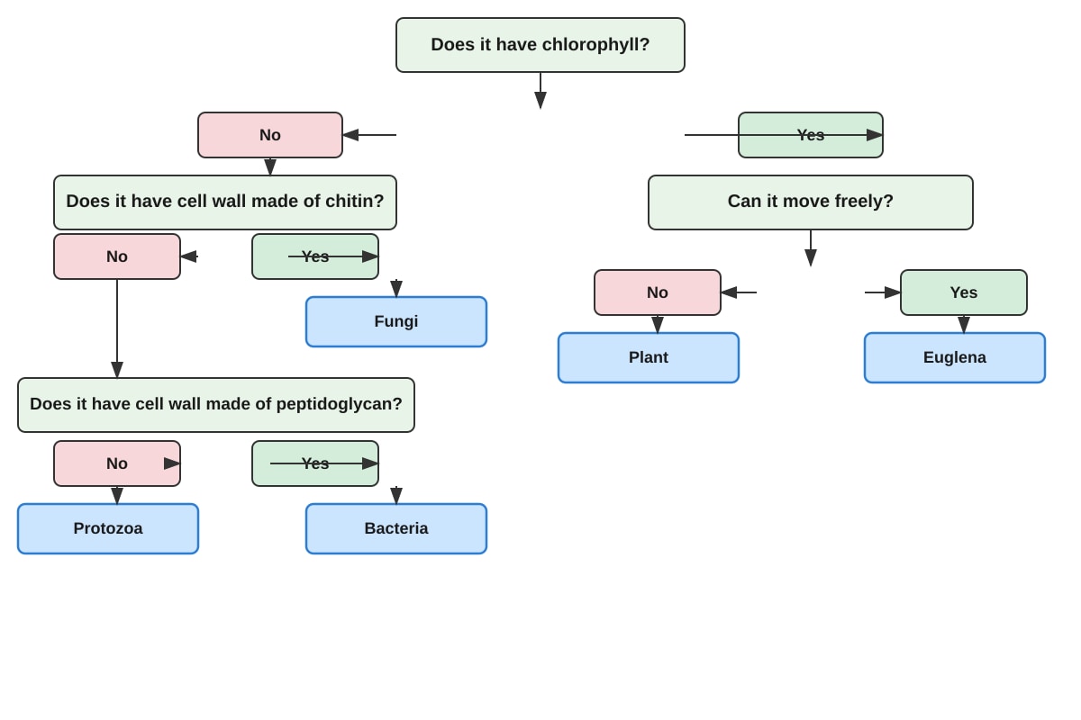 Diagram for Q25 (P6 Science)