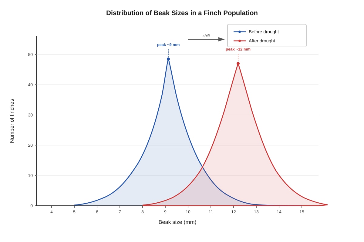 Graph for placeholder 2 (SEC4 Combined Sci Bio)