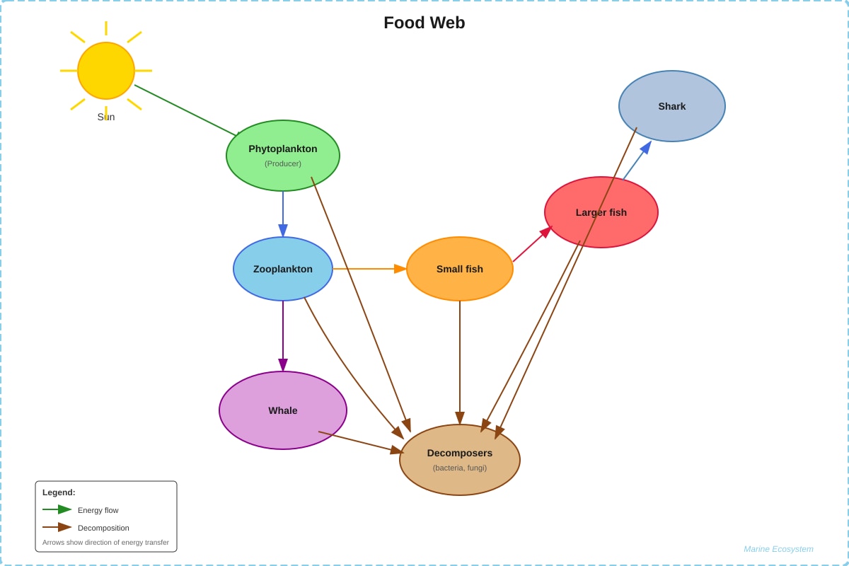 Diagram for Q41 (P6 Science)