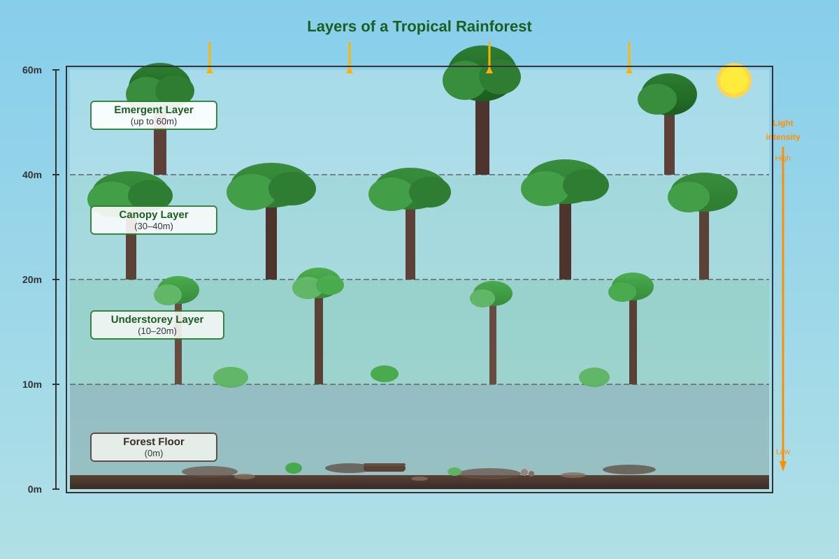 Diagram for Q18 (SEC2 Geography)