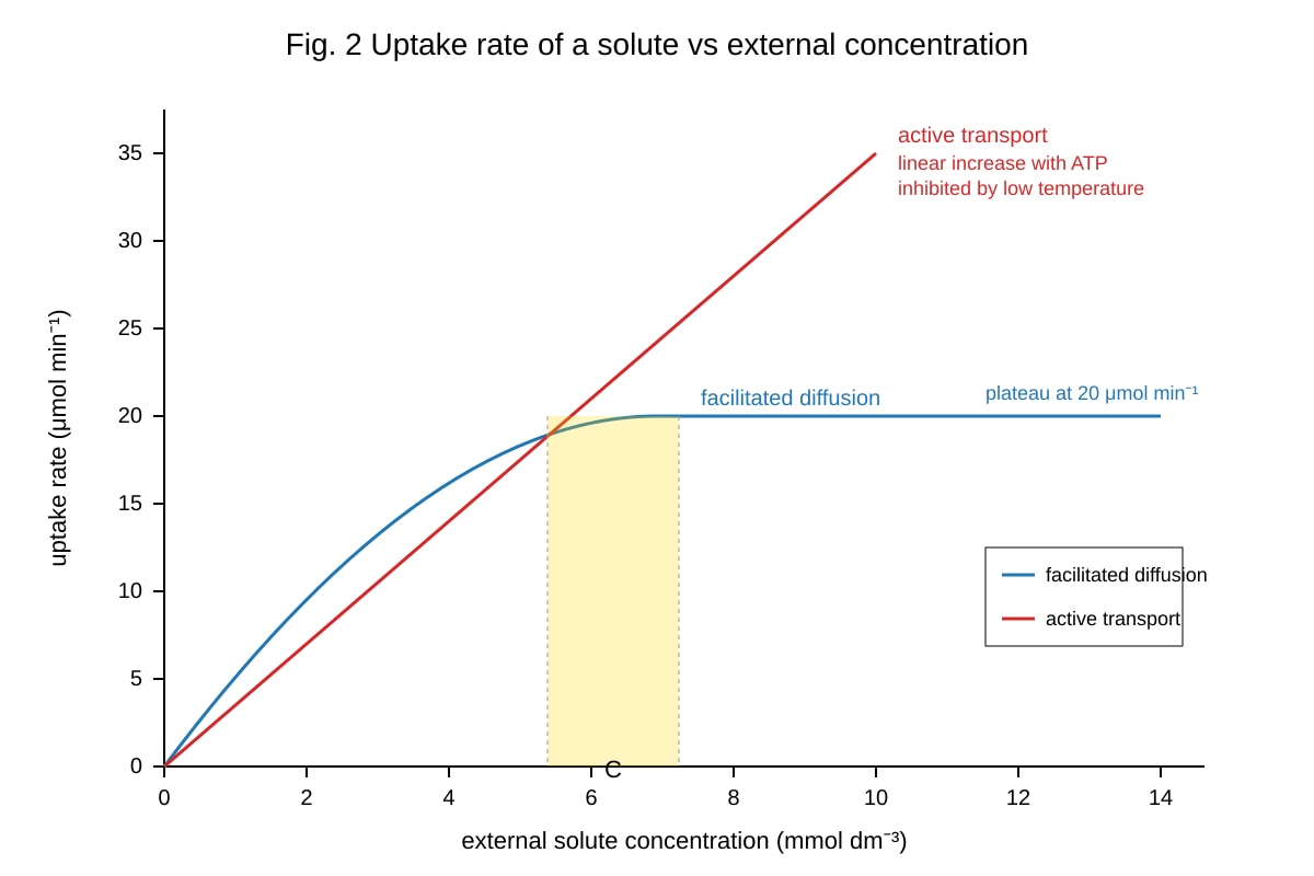 Graph for Q9 (ALEVEL Biology H2)