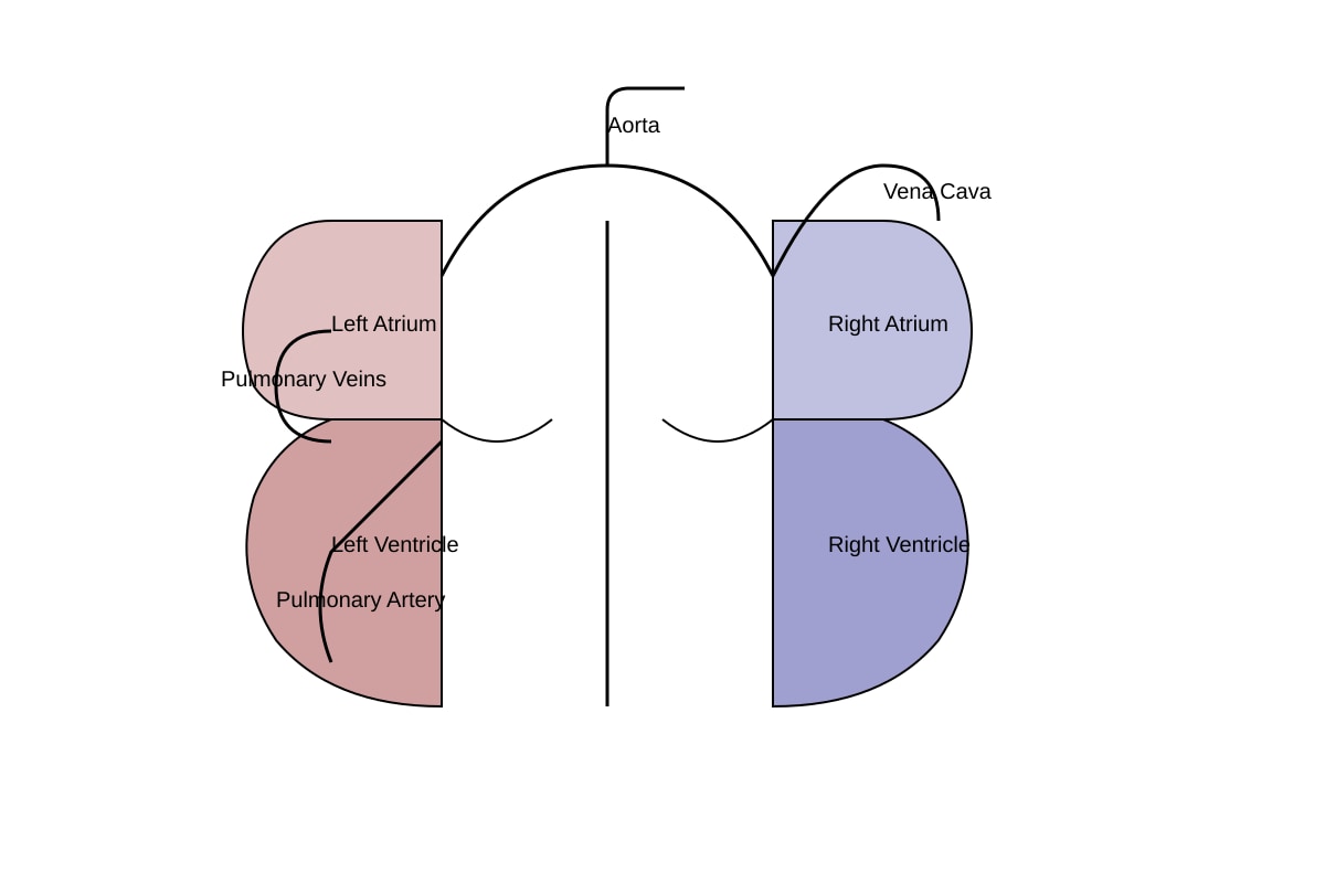 Diagram for placeholder 3 (SEC3 Combined Science)