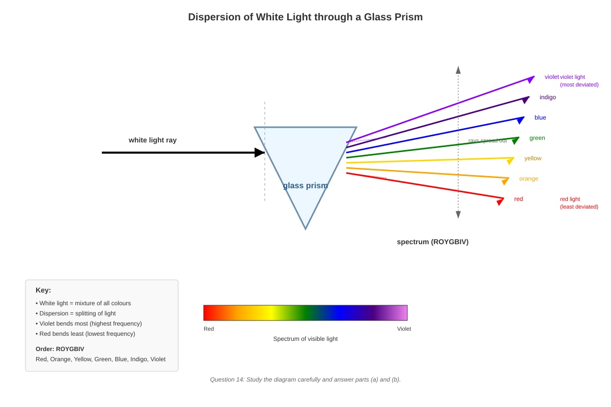 Diagram for Q14 (P6 Science)