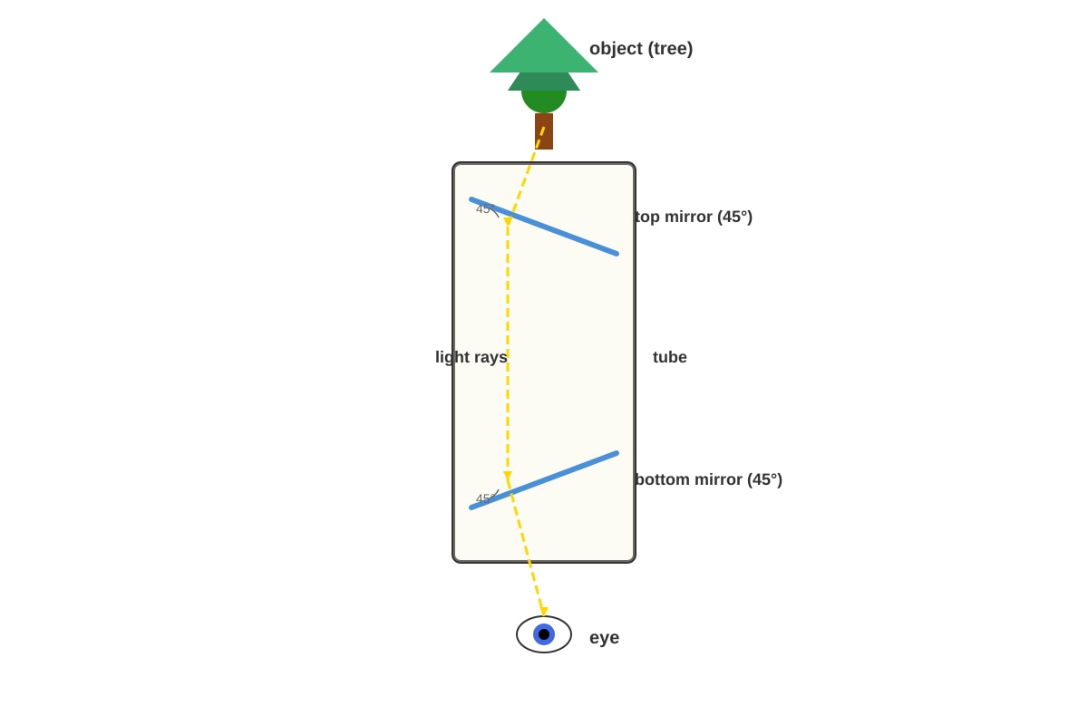 Diagram for Q19 (P6 Science)
