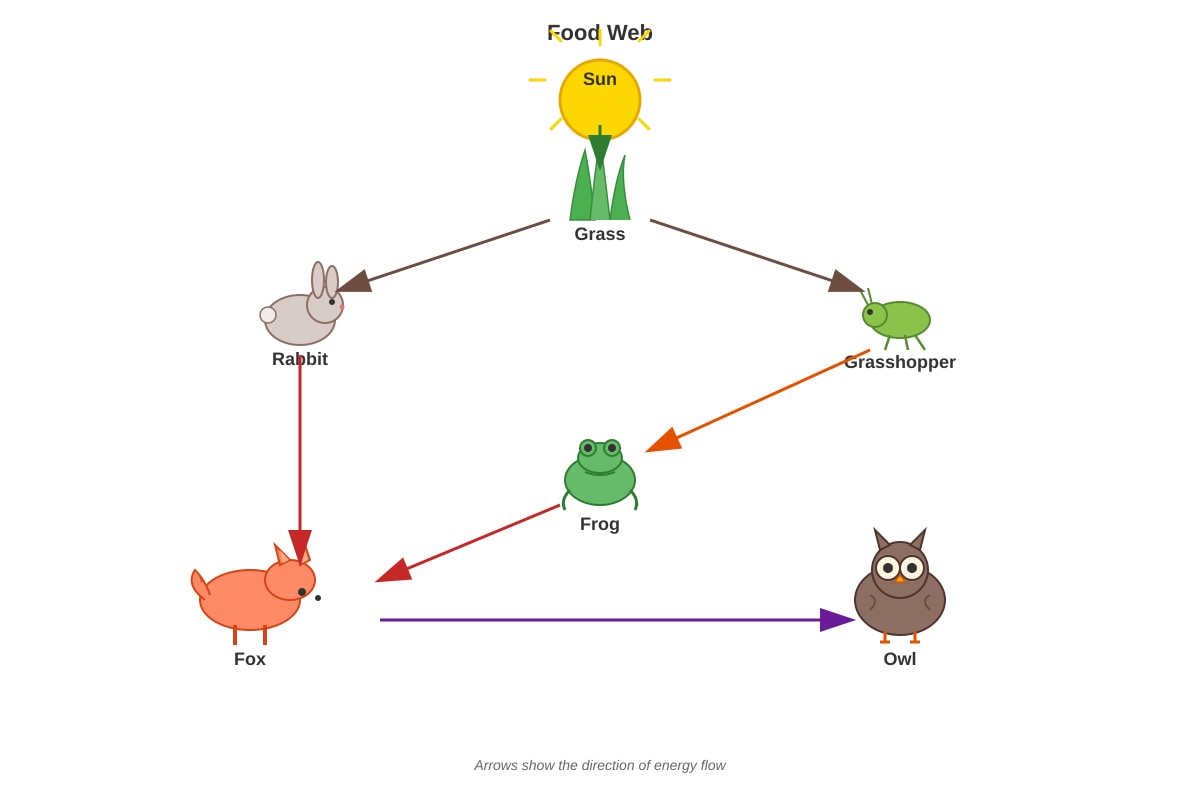 Diagram for Q11 (P4 Science)