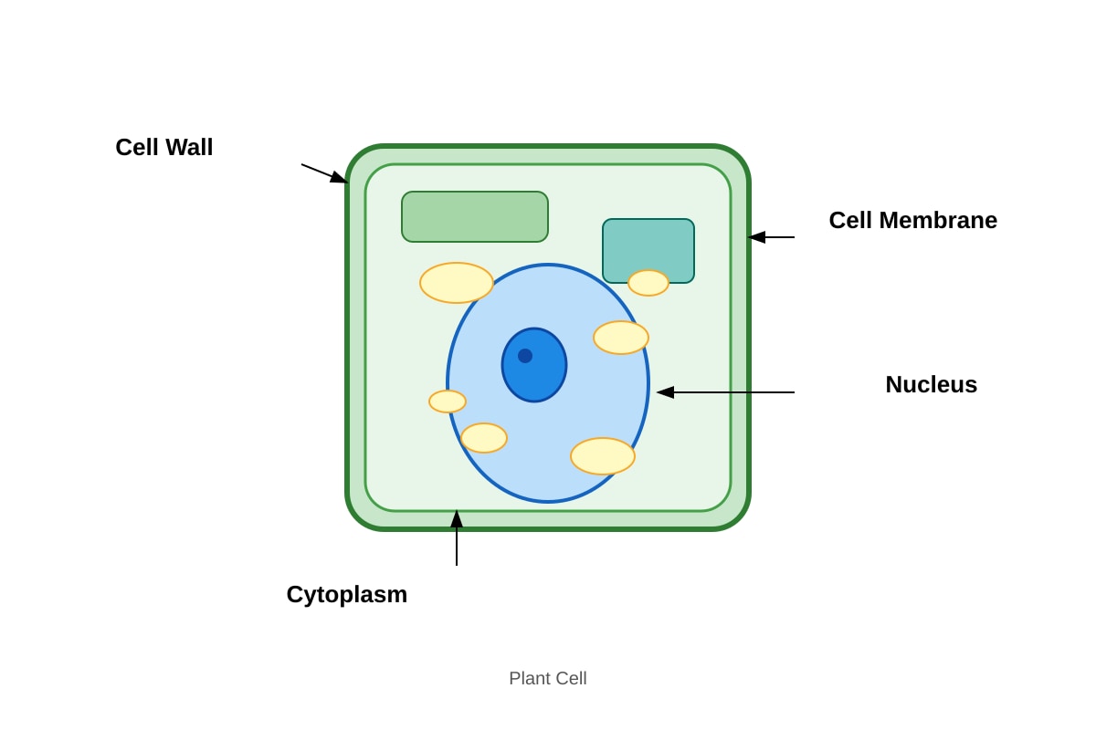 Diagram for Q27 (P5 Science)