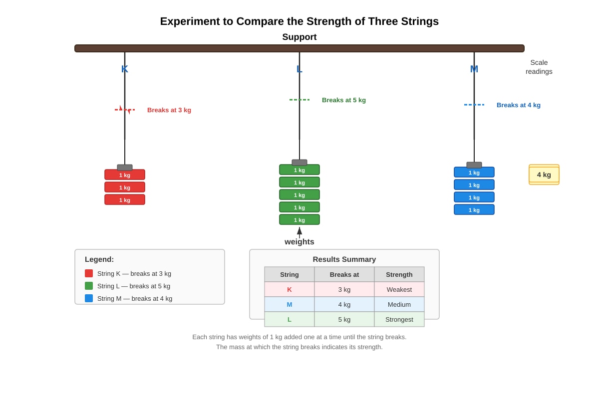 Experimental Setup for Q19 (P6 Science)