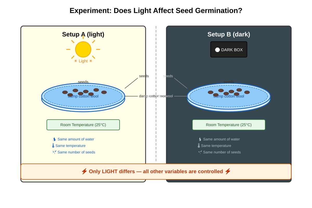 Experimental Setup for Q28 (P5 Science)