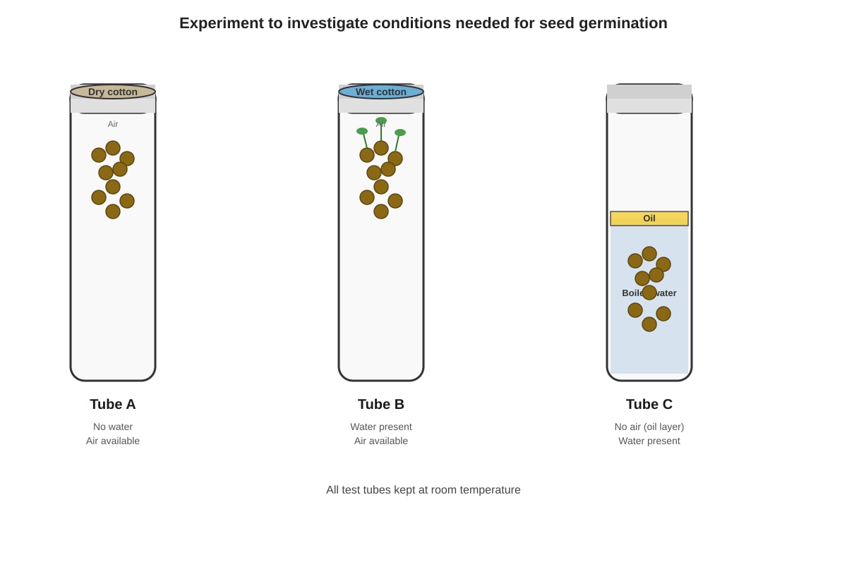 Experimental Setup for Q33 (P6 Science)