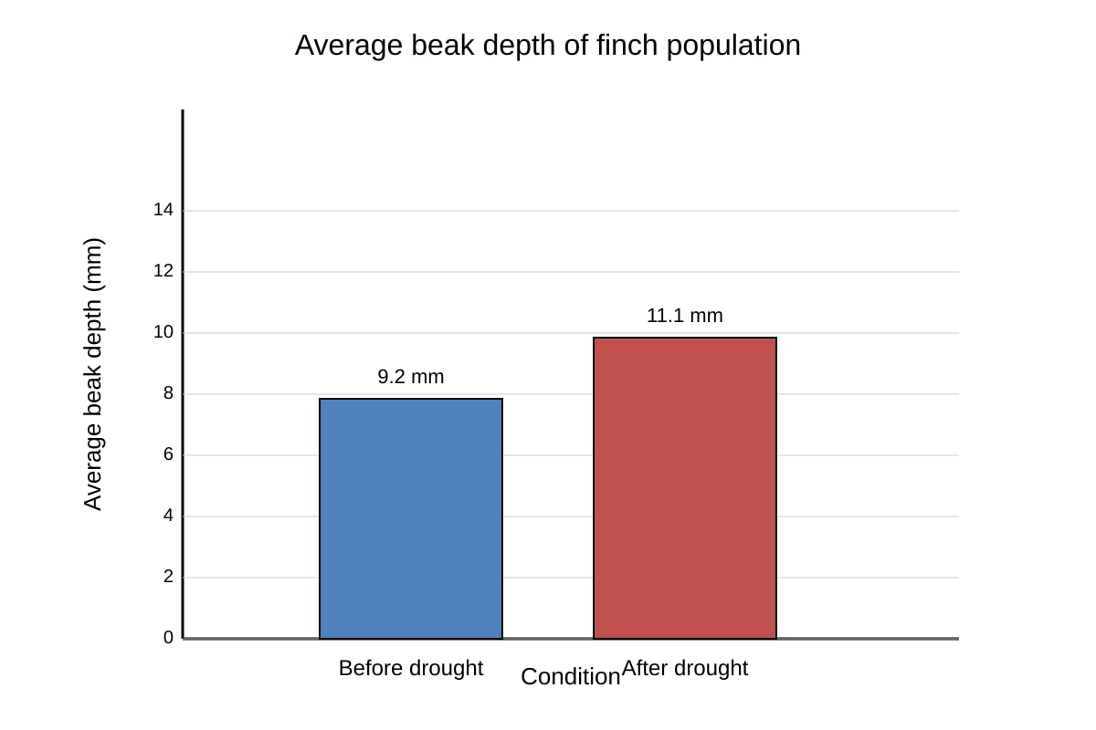 Graph for Q17 (OLEVEL Biology)