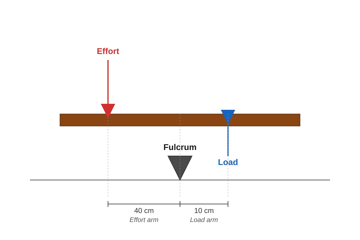 Diagram for Q23 (P5 Science)
