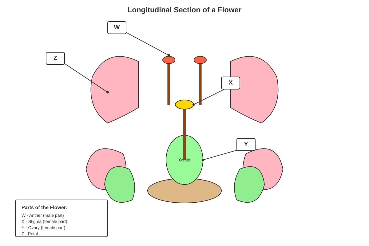 Diagram for Q5 (P5 Science)