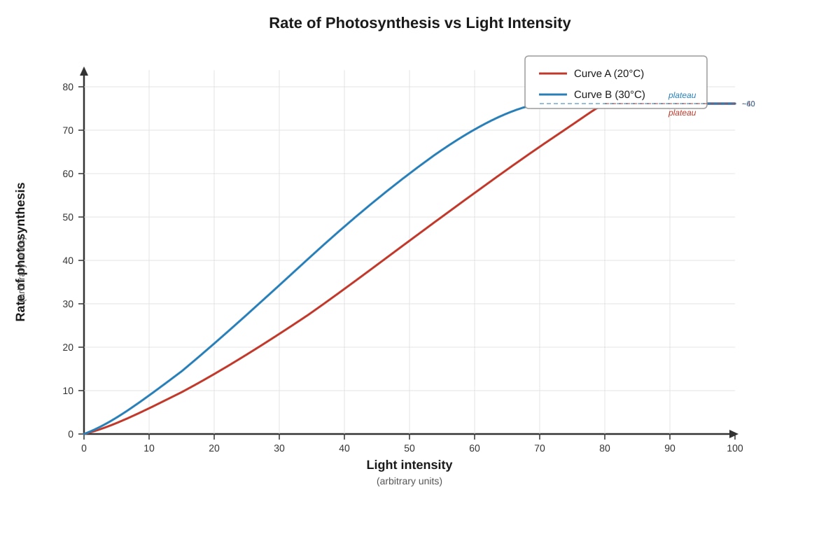Graph for Q11 (SEC1 Science)