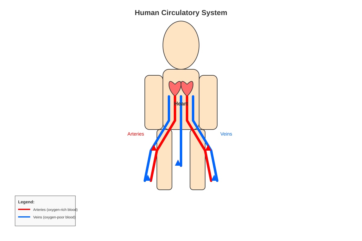 Diagram for placeholder 2 (P5 Science)