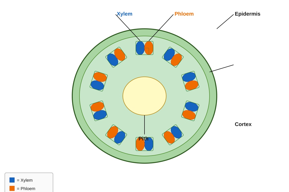 Diagram for Q37 (P5 Science)
