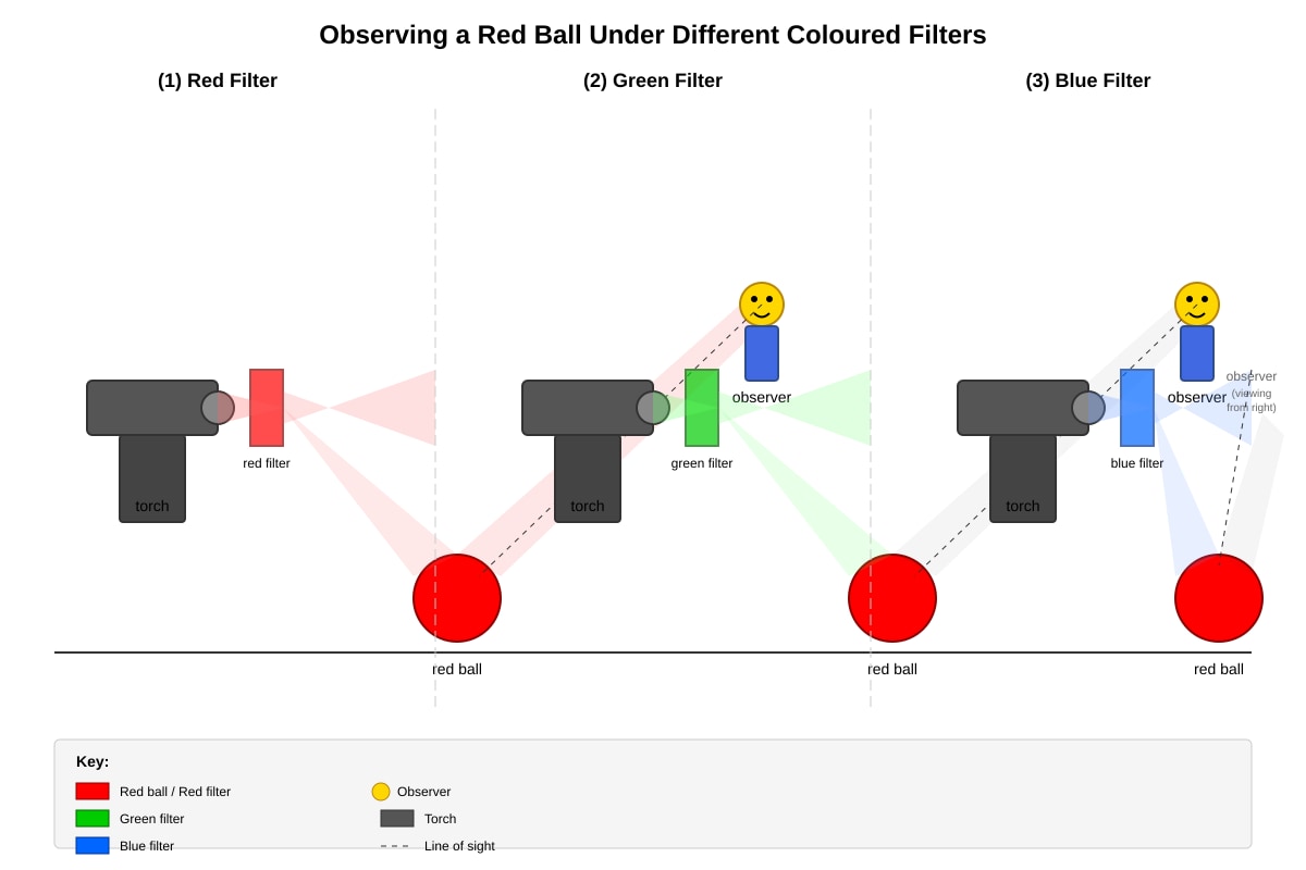 Experimental Setup for Q18 (P6 Science)