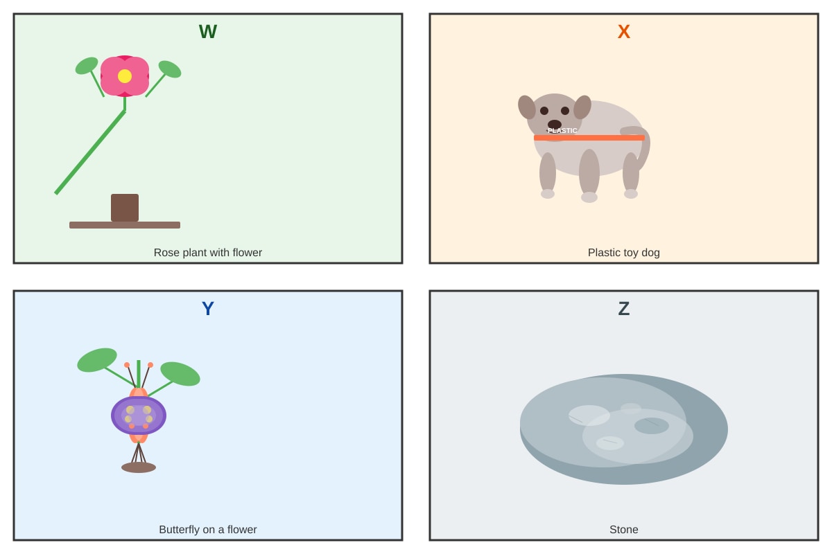 Figure for Q10 (P3 Science)