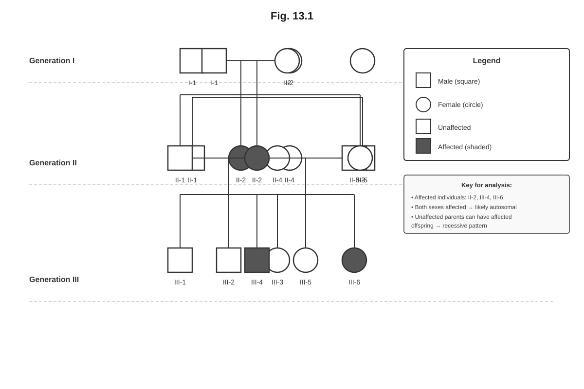 Figure for Q13 (ALEVEL Biology H1)