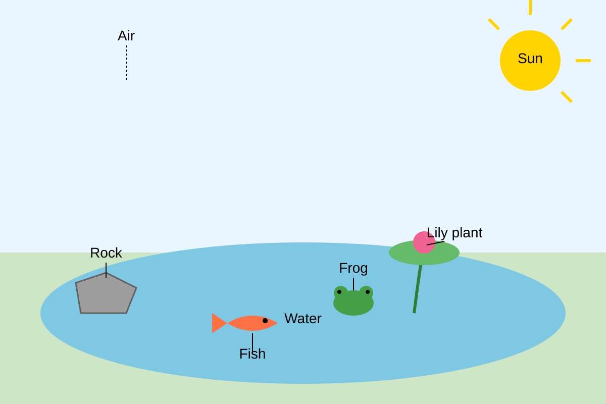 Diagram for Q19 (P4 Science)