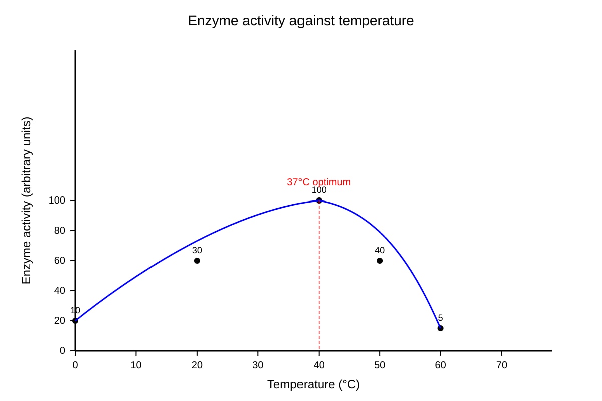 Graph for Q14 (OLEVEL Biology)