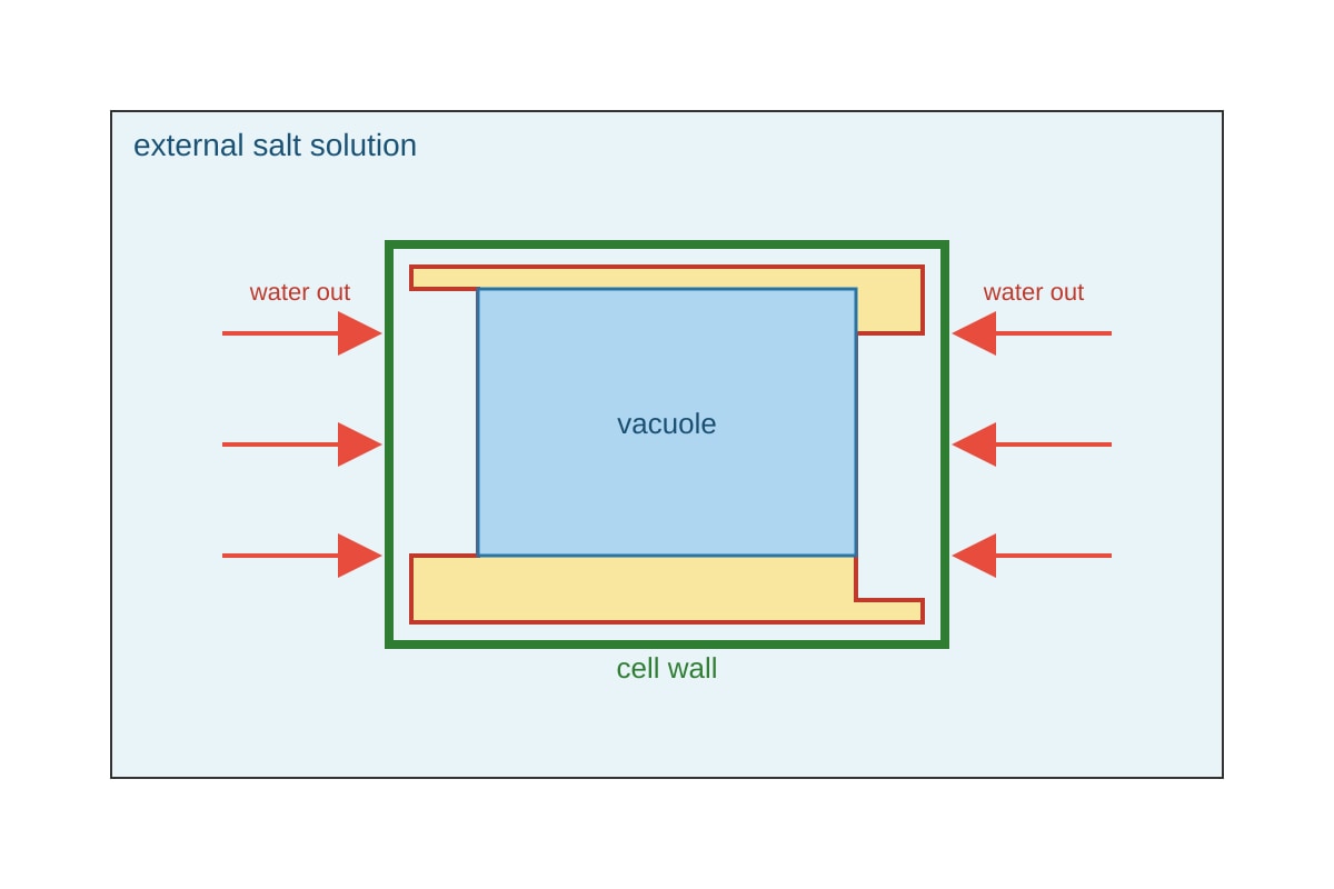Diagram for Q6 (SEC3 Combined Science)