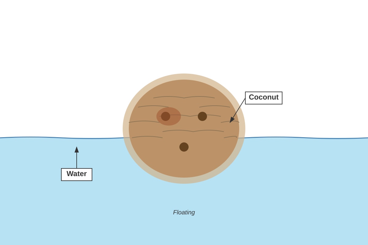Diagram for Q30 (P5 Science)