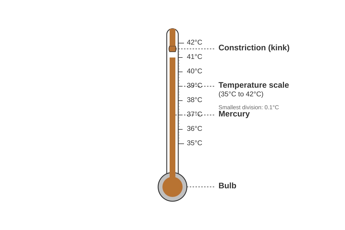Diagram for Q12 (P6 Science)