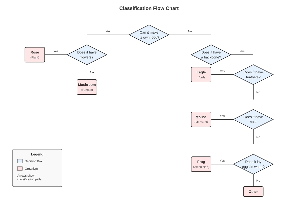Diagram for Q9 (P6 Science)