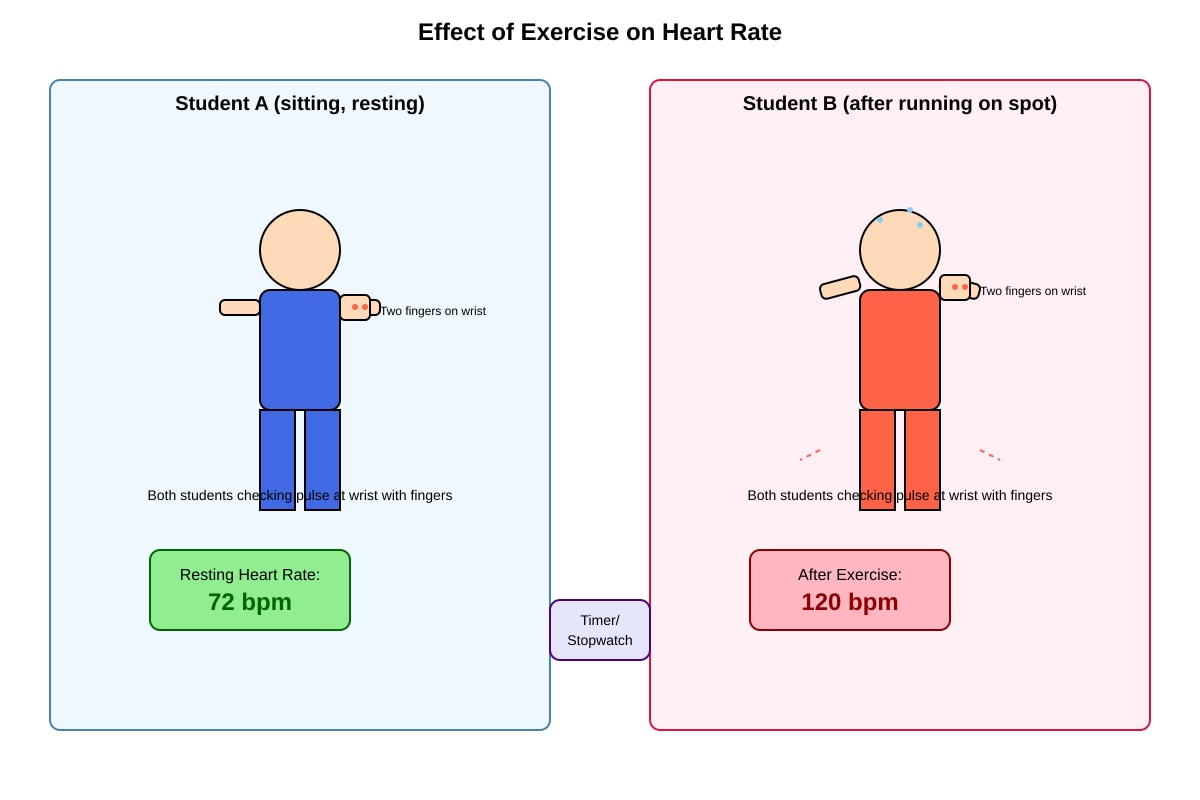 Diagram for Q9 (P5 Science)
