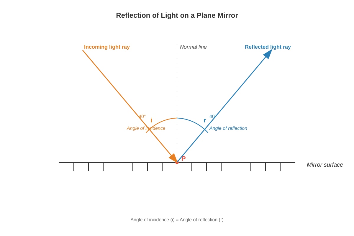 Diagram for Q14 (P3 Science)