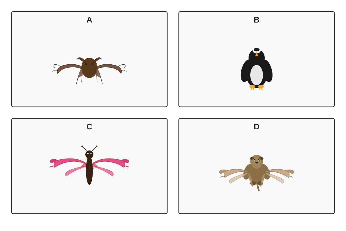 Diagram for Q9 (P3 Science)