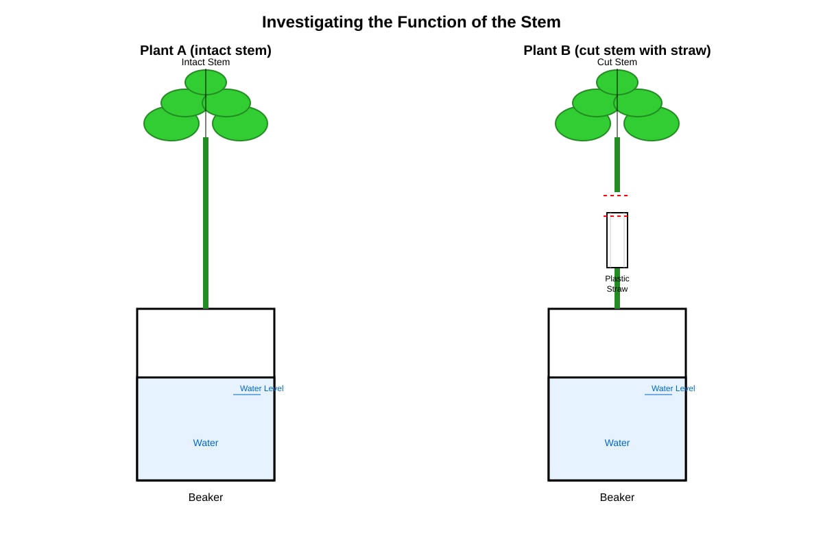 Experimental Setup for Q18 (P4 Science)