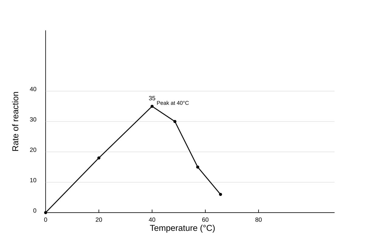 Graph for Q14 (SEC4 Pure Biology)