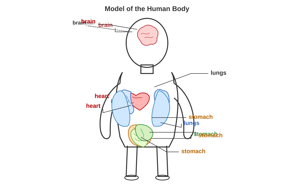 Diagram for Q6 (P3 Science)