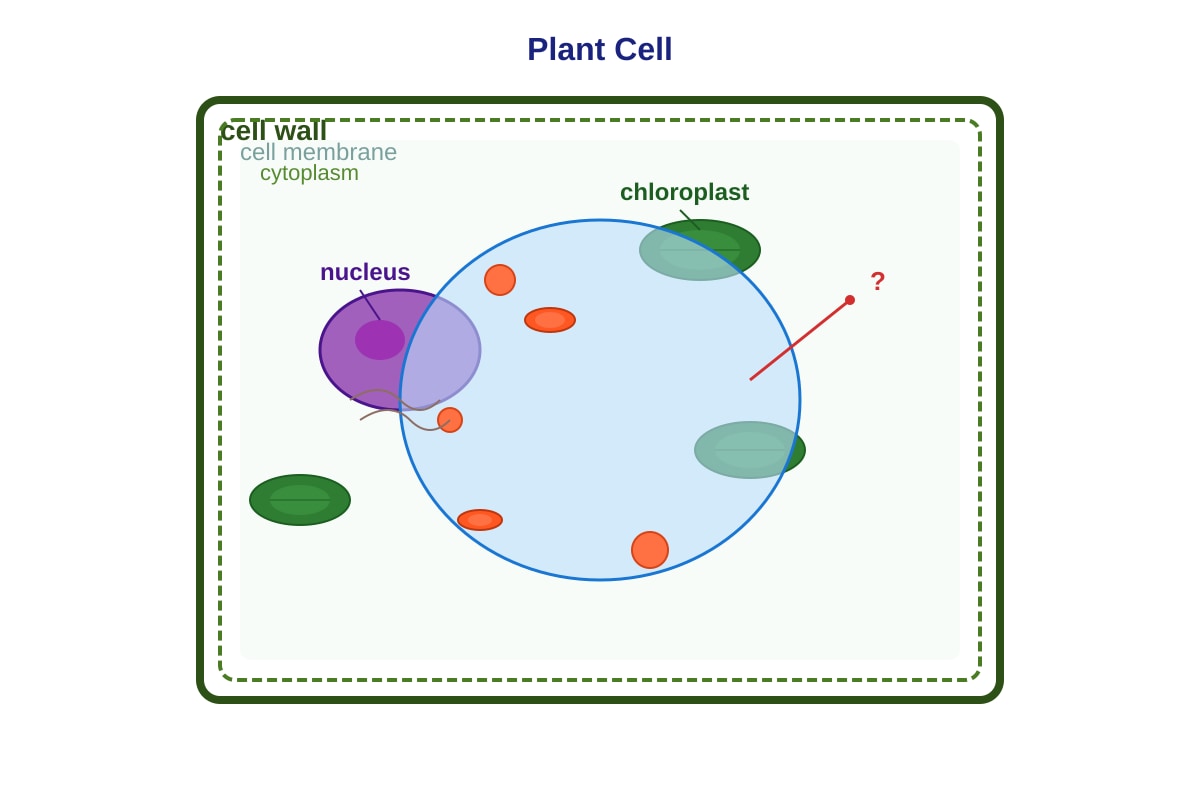 Diagram for Q2 (SEC1 Science)