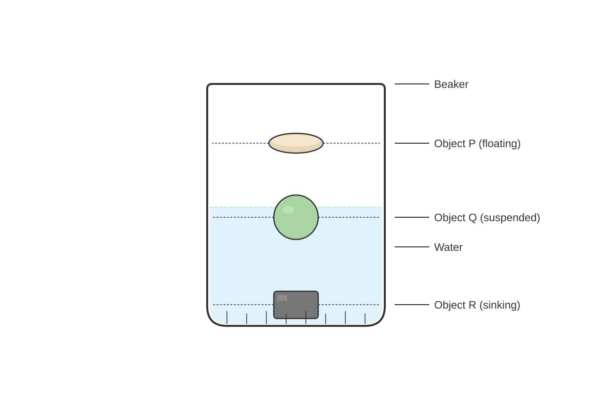 Diagram for Q10 (P4 Science)