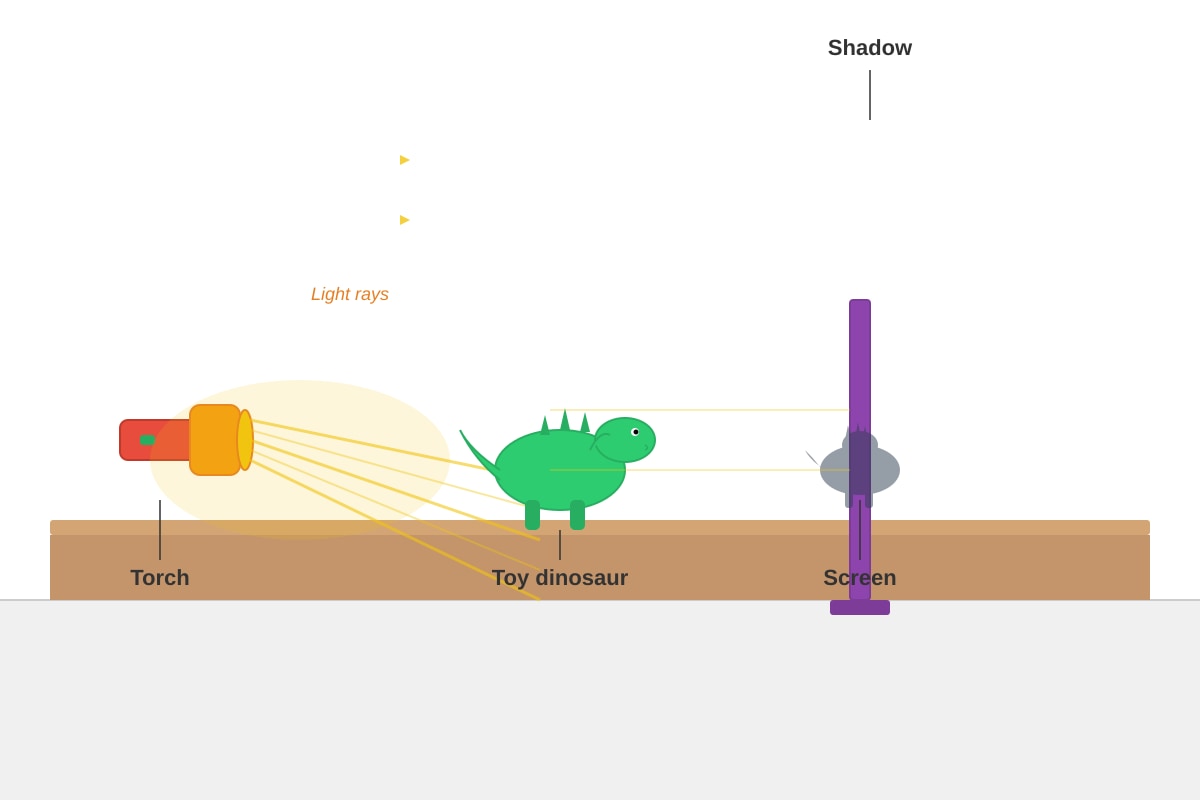 Figure for Q19 (P3 Science)