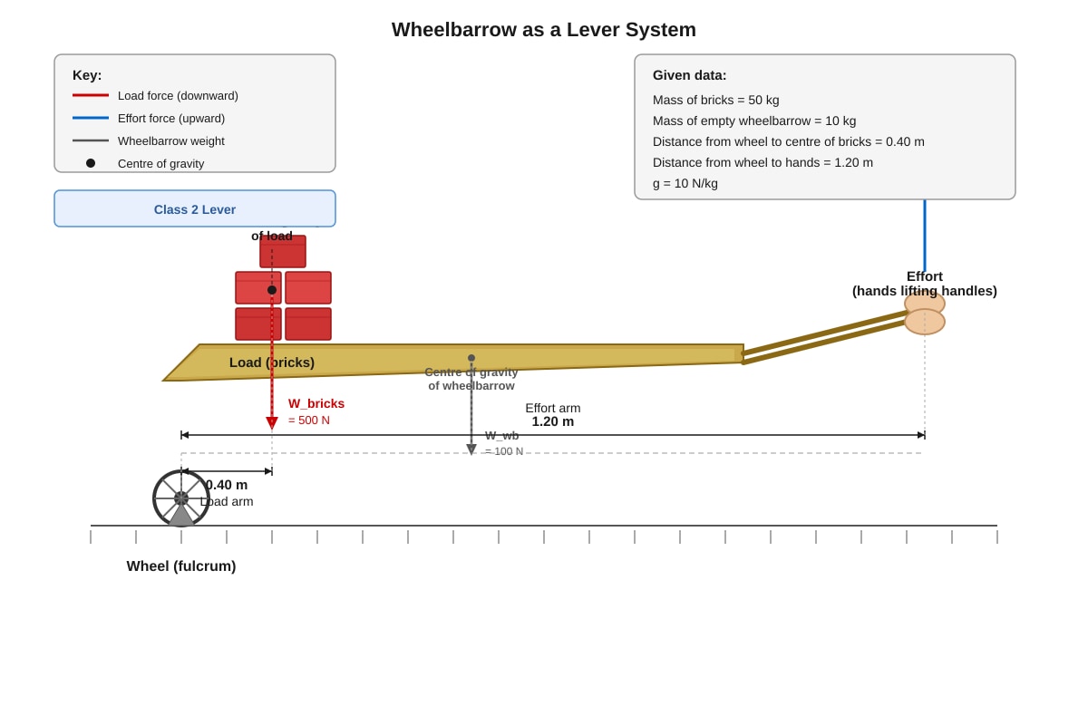 Diagram for Q19 (SEC1 Science)