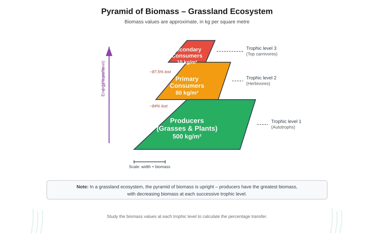 Diagram for Q3 (ALEVEL Biology H1)