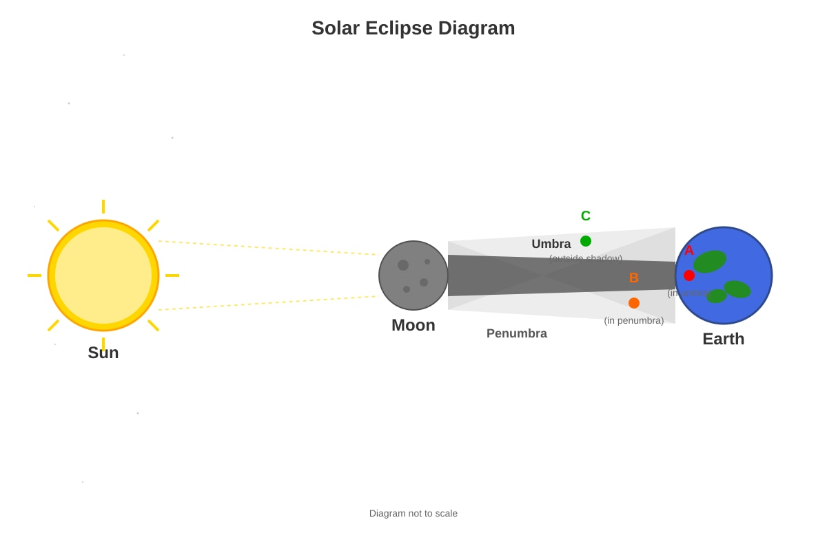 Diagram for Q18 (P4 Science)