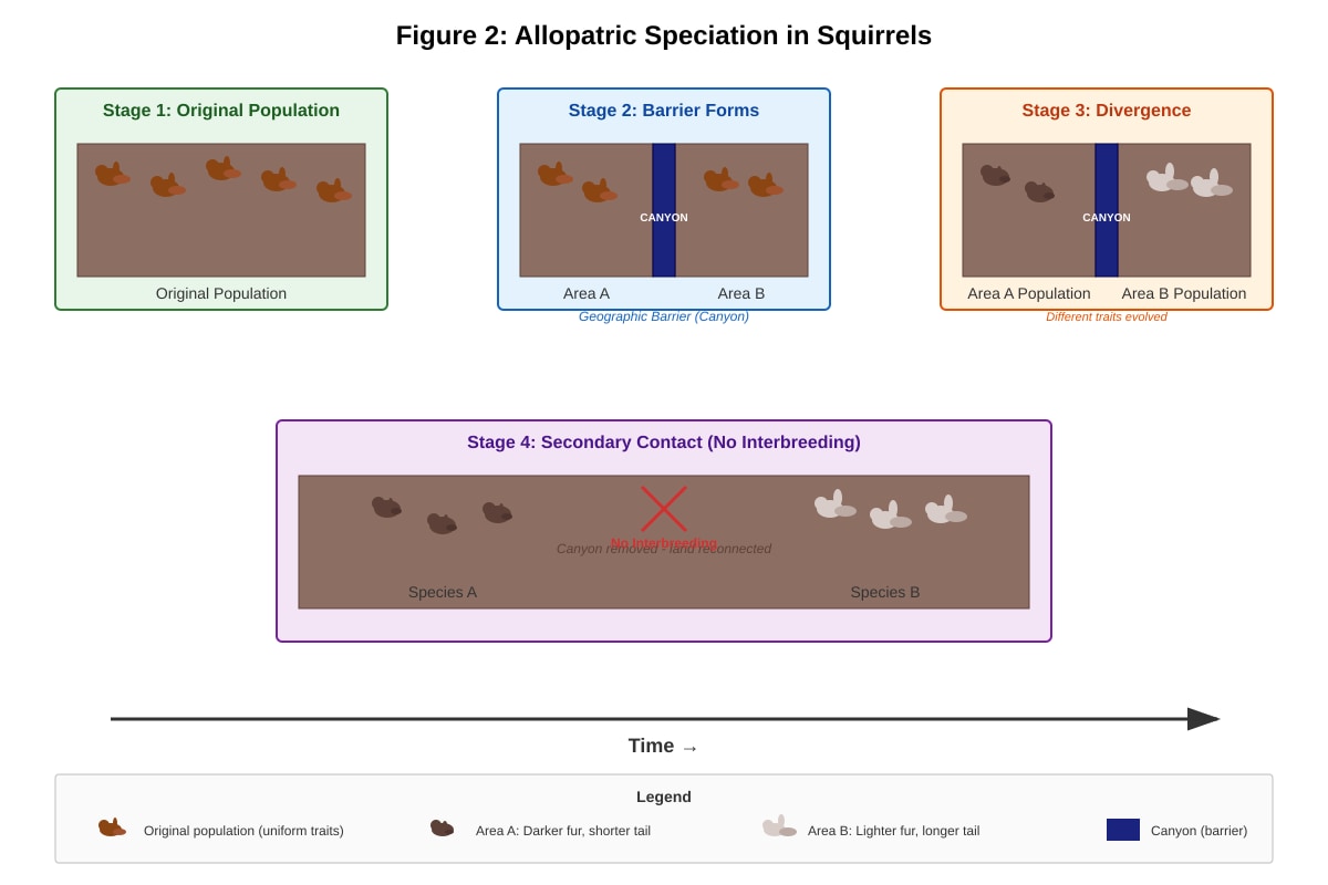 Diagram for Q6 (ALEVEL Biology H1)