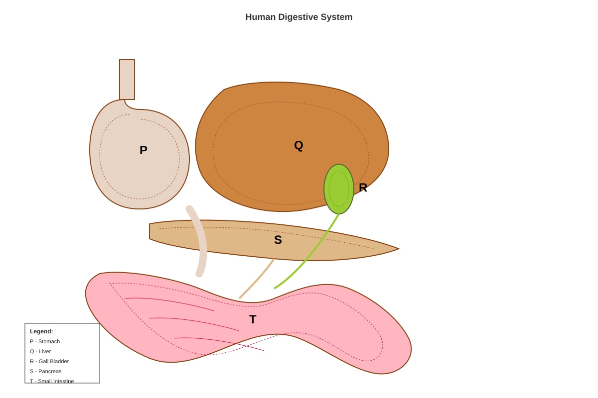 Diagram for placeholder 3 (SEC4 Combined Sci Bio)